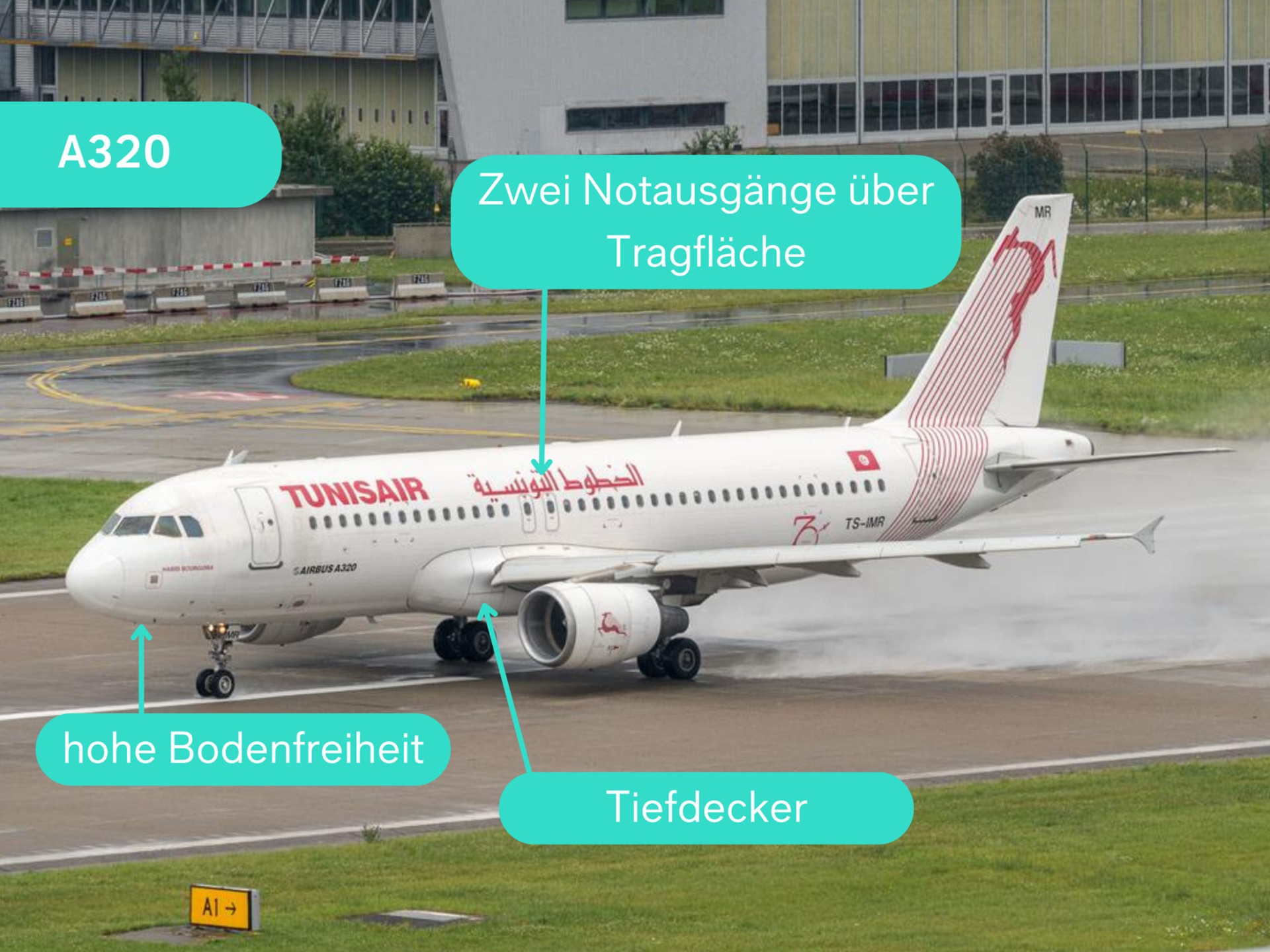 So erkennst du Flugzeugtypen Flughafen Zuerich