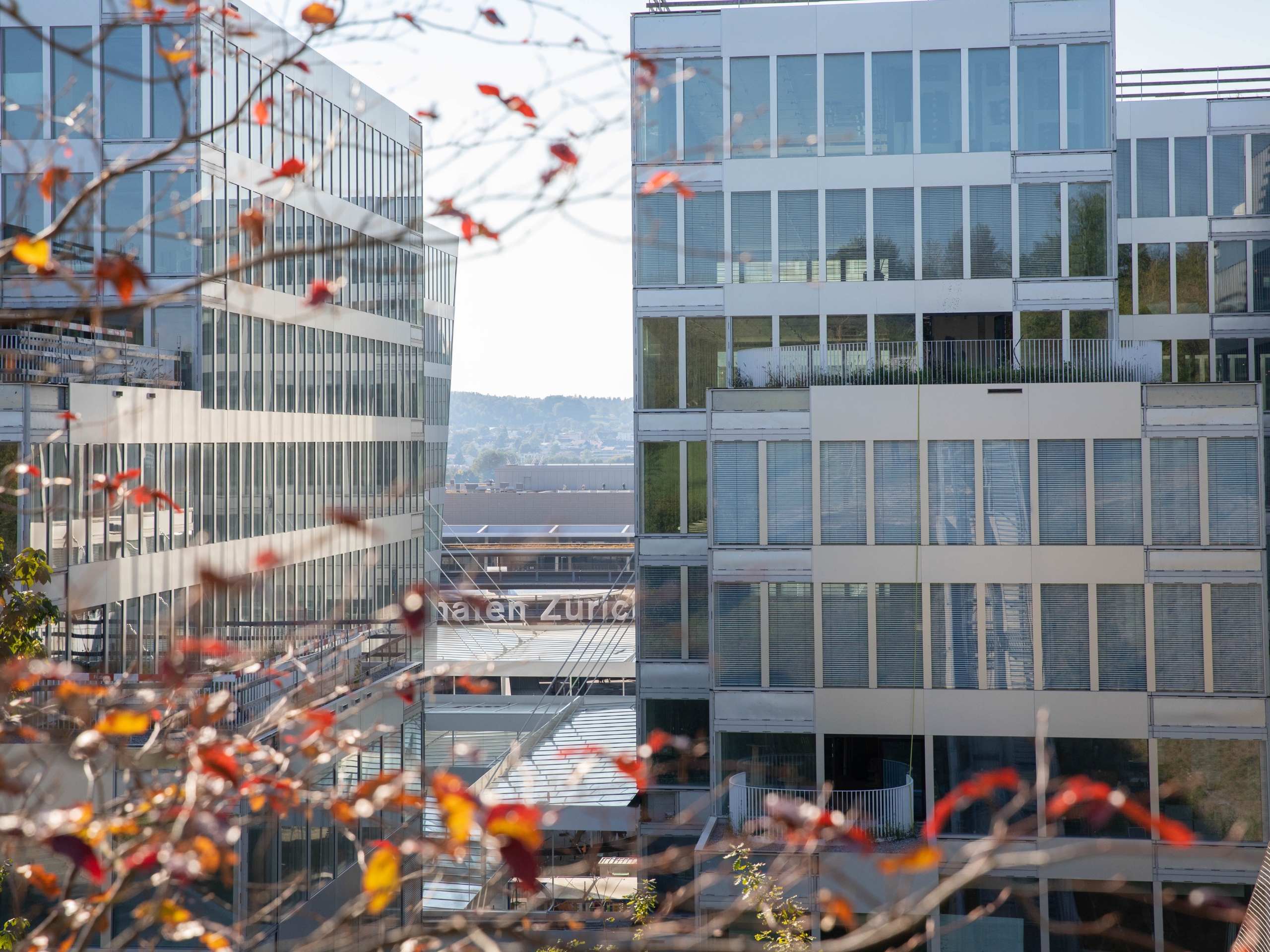 Herbst im Circle