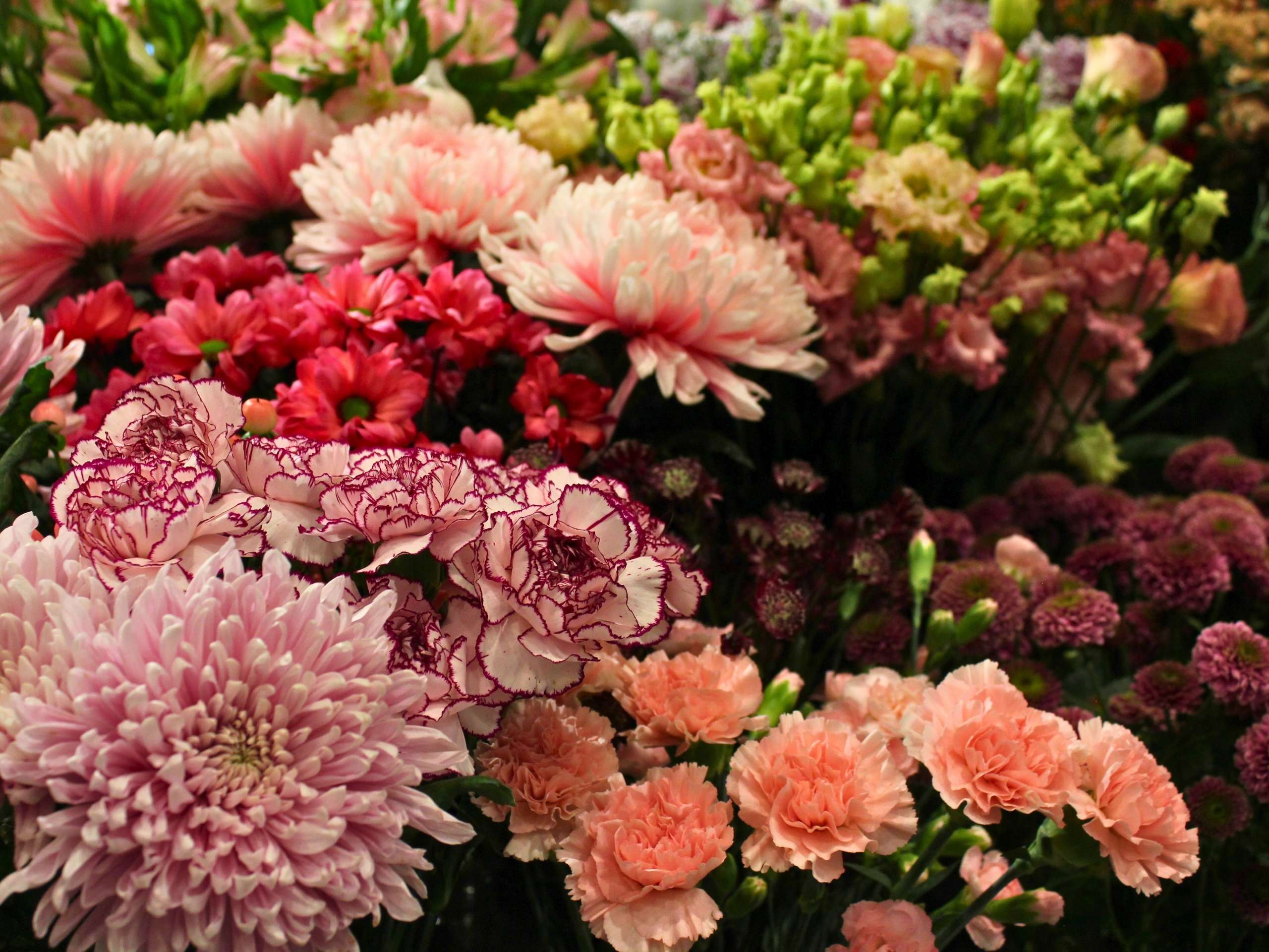Blumen
