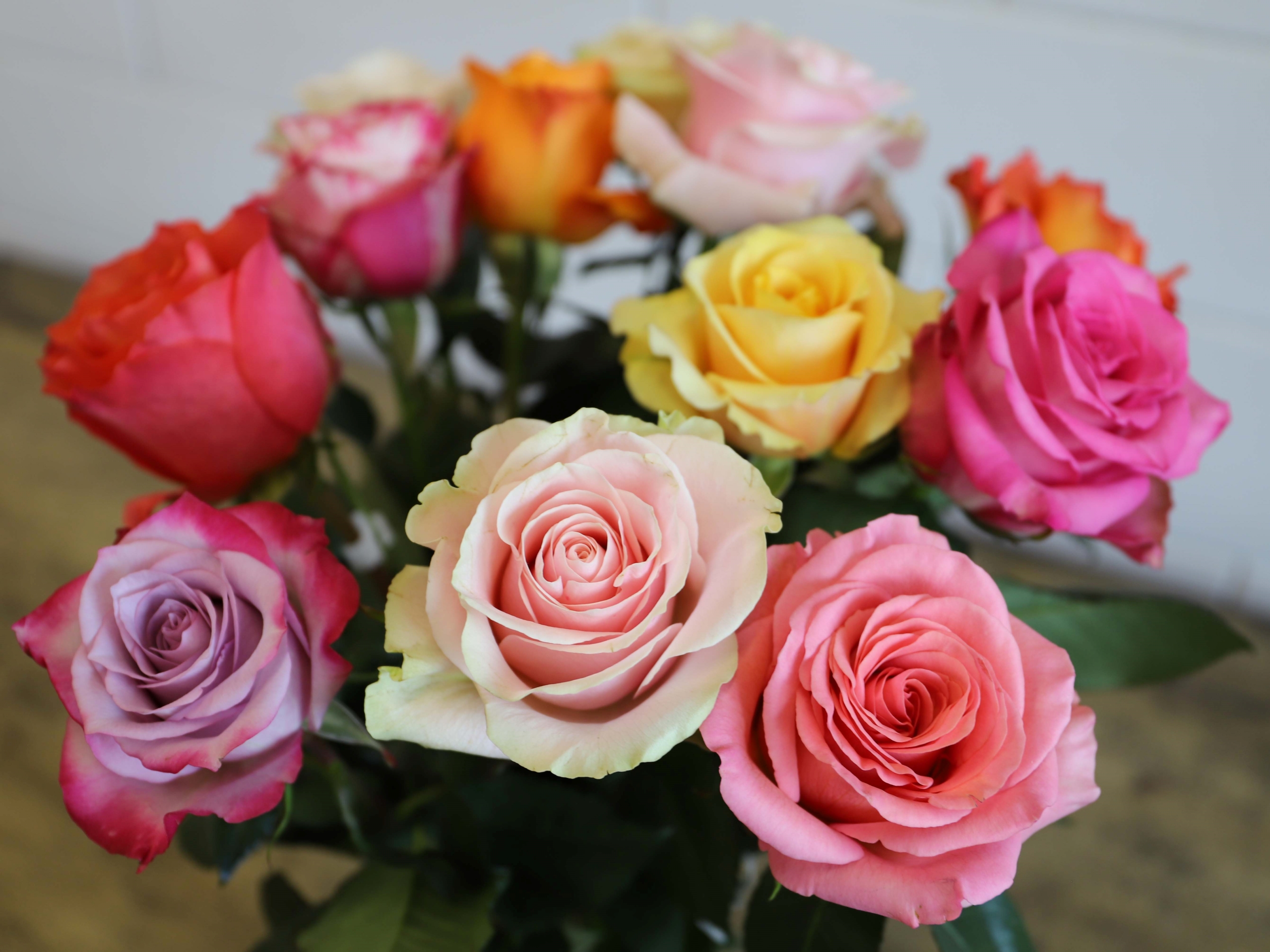 blume 3000 Flughafen Zuerich