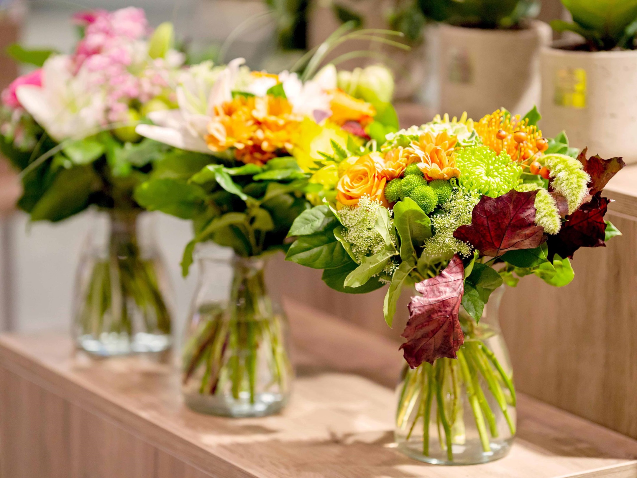 blume 3000 Flughafen Zuerich